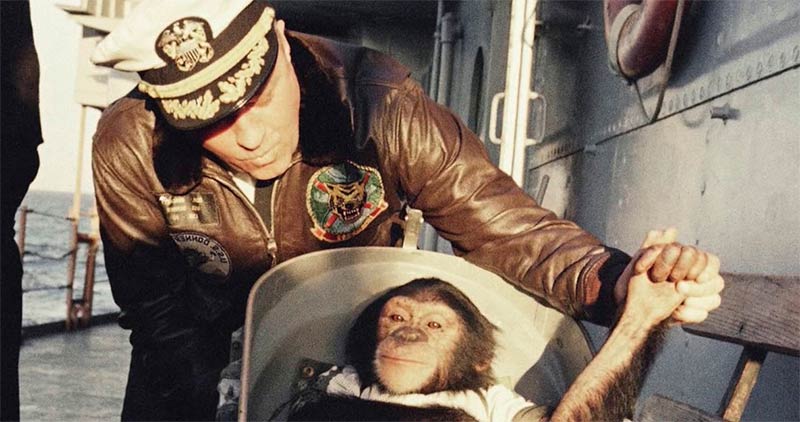 Астронаавт-шимпанзе Хэм